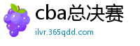 cba总决赛